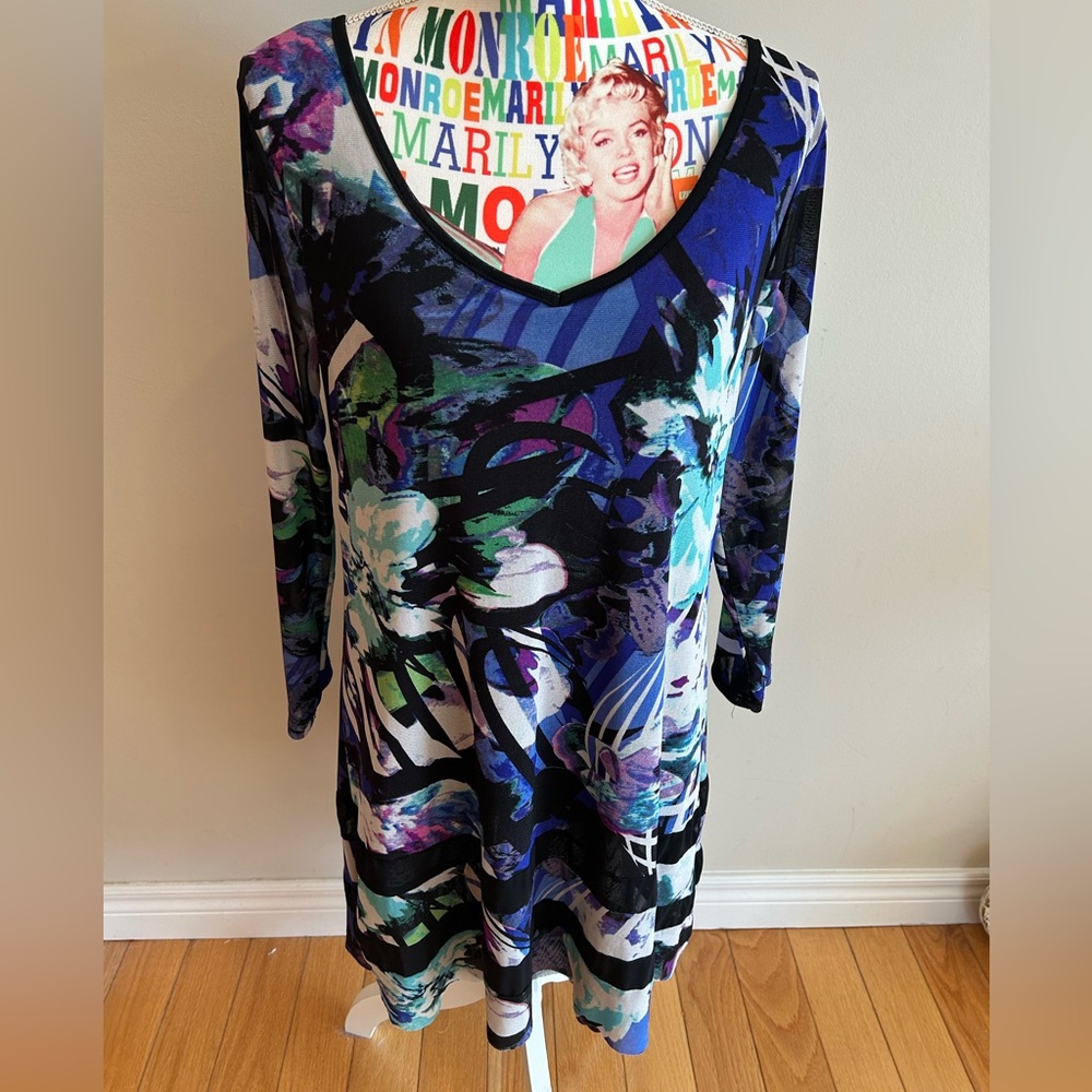 Cupio Multicolor Long Sleeve Mesh Dress